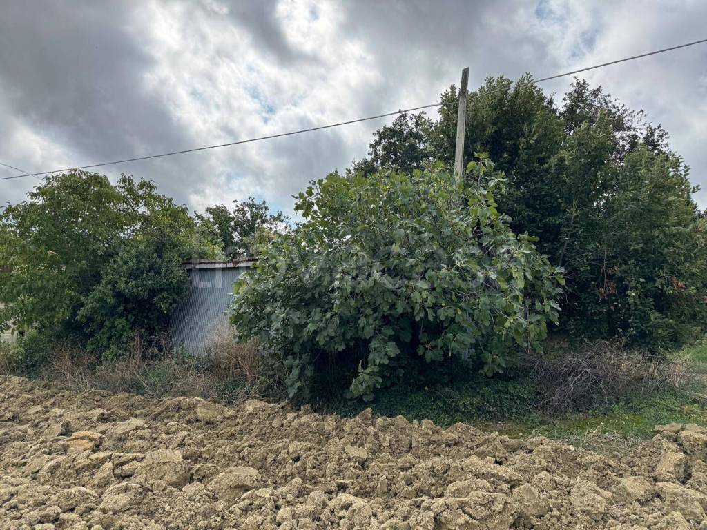 immagine annuncio 3 di 8