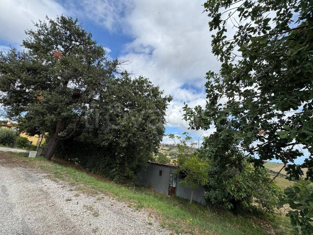 immagine annuncio 4 di 8