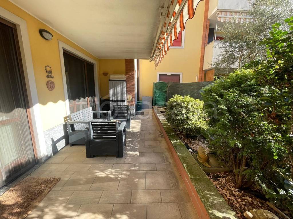 immagine annuncio 5 di 15