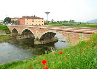 immagine annuncio 3 di 8
