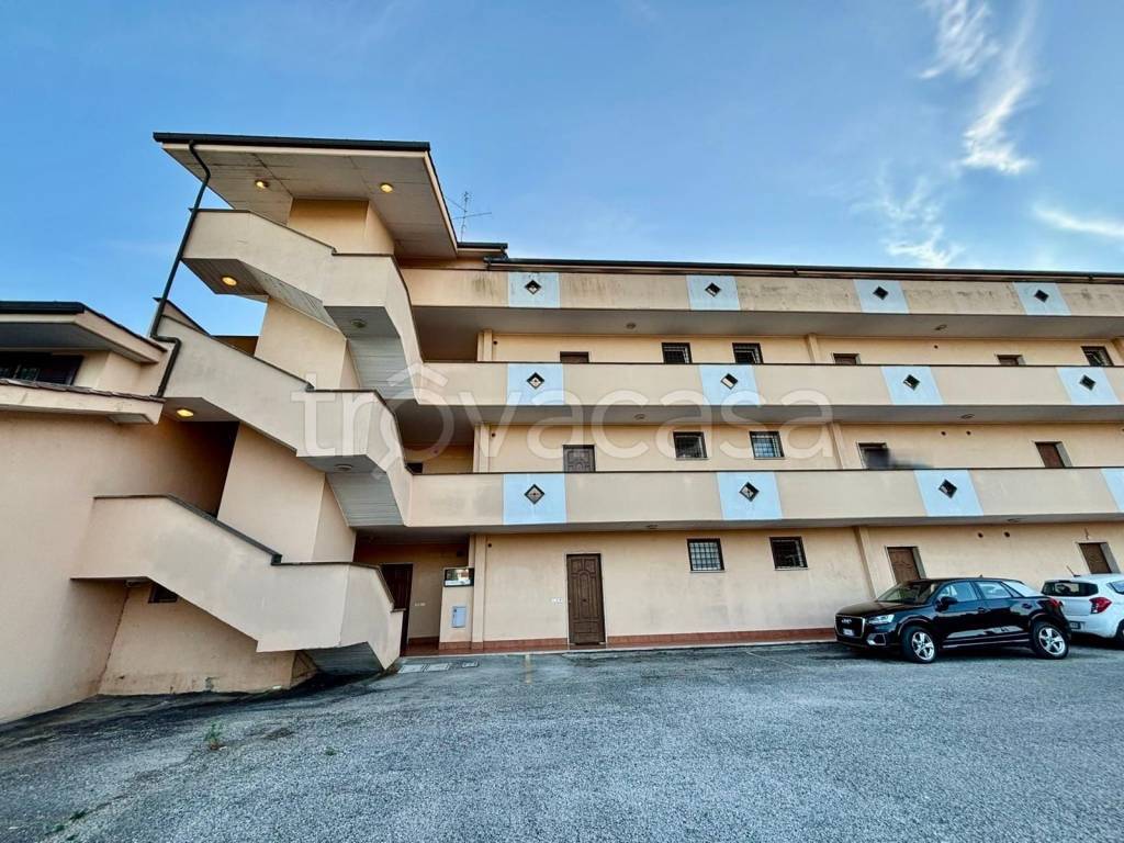 immagine annuncio 12 di 14