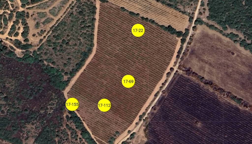 immagine annuncio 1 di 11