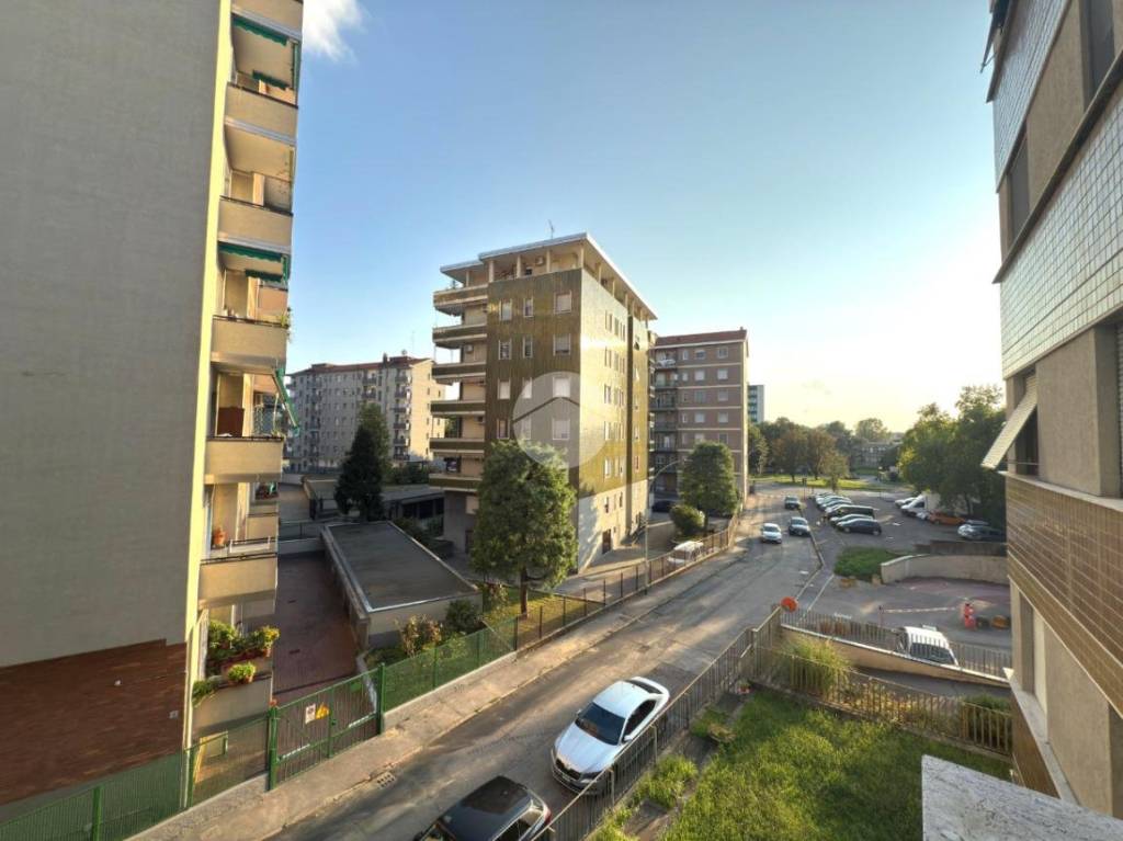 immagine annuncio 11 di 13