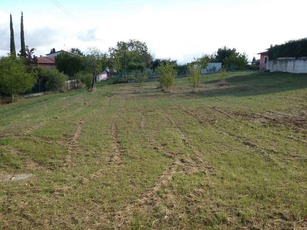 immagine annuncio 1 di 6