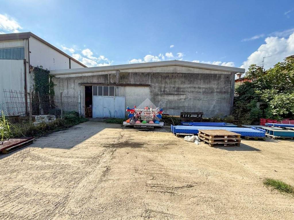 immagine annuncio 4 di 15