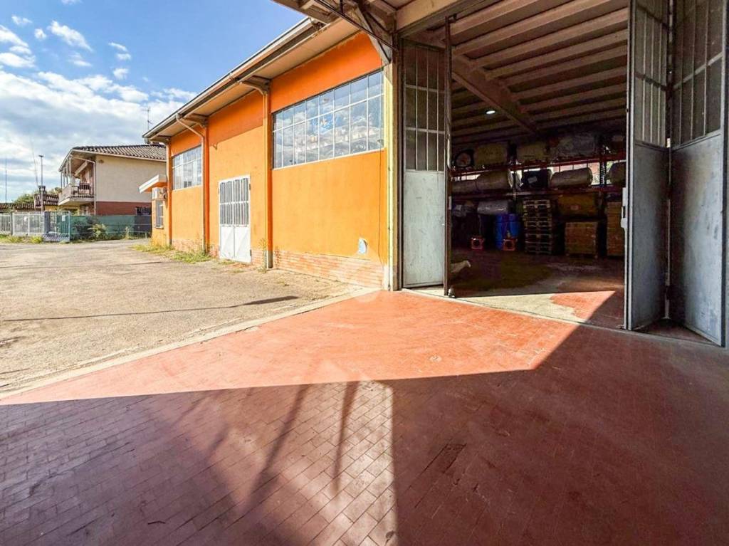 immagine annuncio 6 di 15