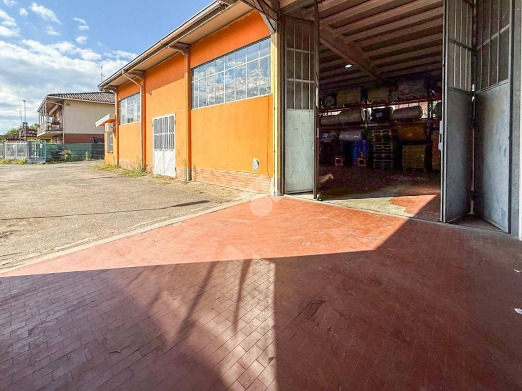 immagine annuncio 12 di 15