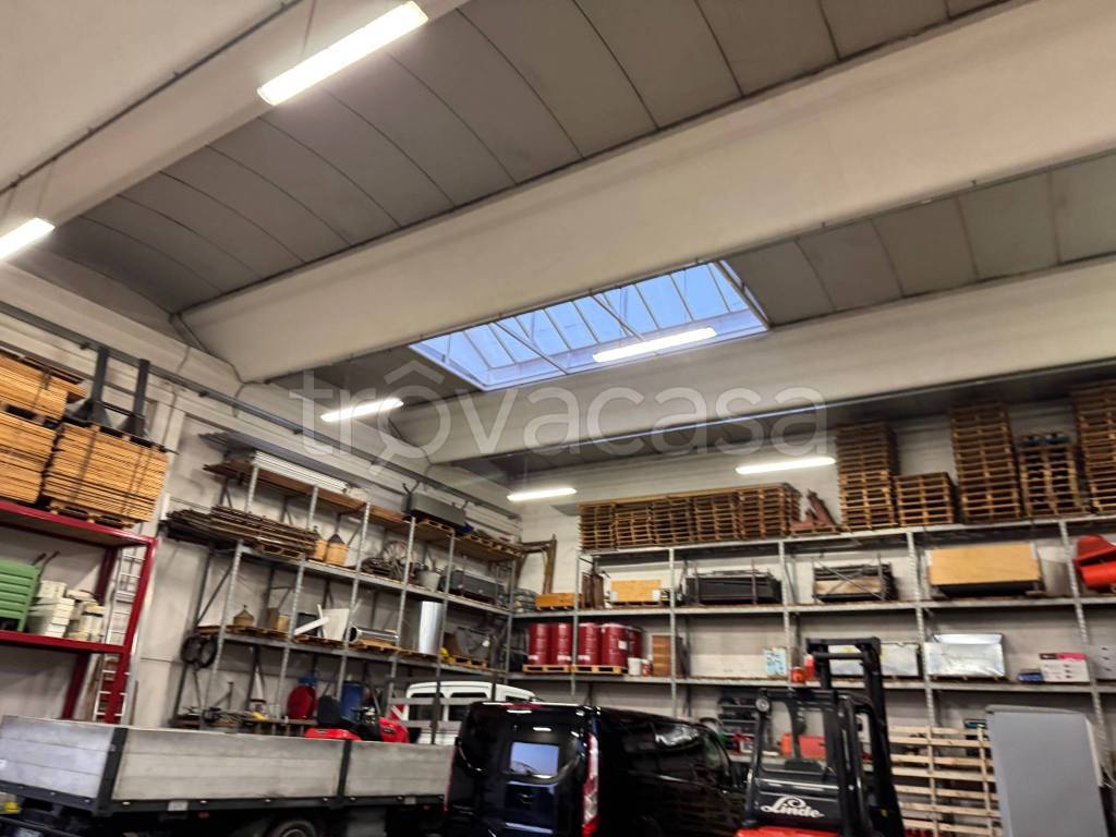 immagine annuncio 1 di 12