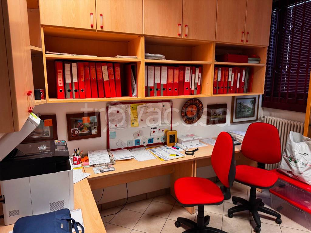 immagine annuncio 4 di 12