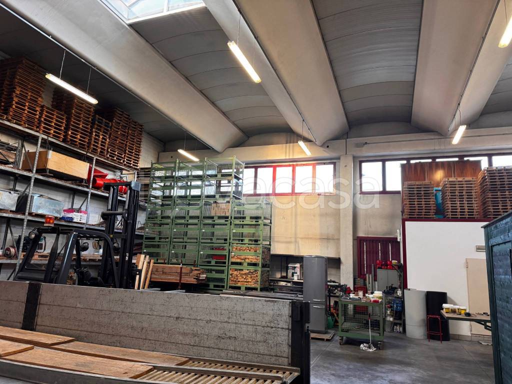 immagine annuncio 5 di 12