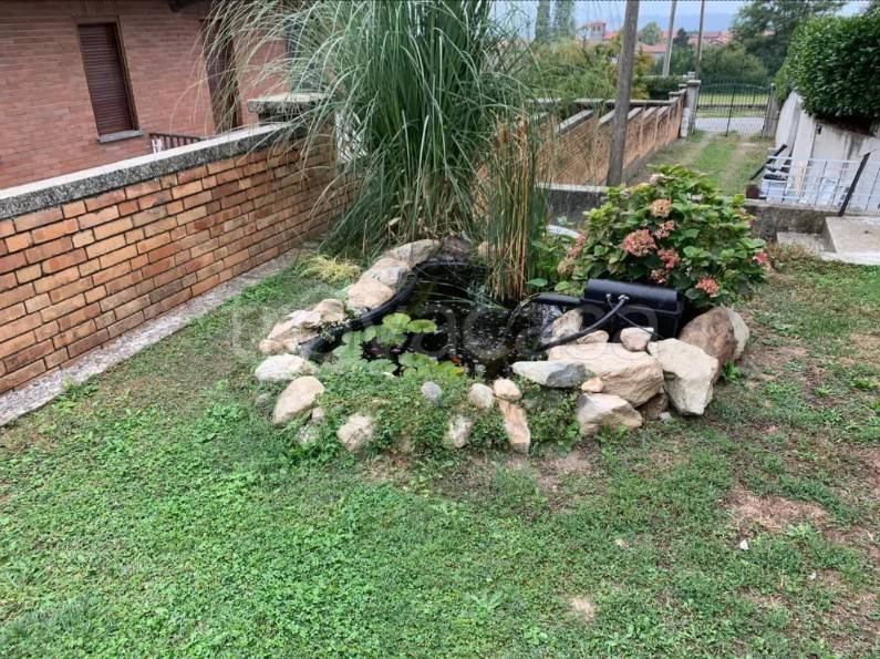 immagine annuncio 2 di 8