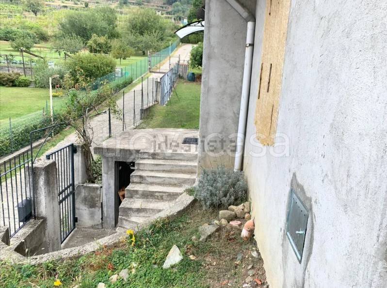 immagine annuncio 4 di 8