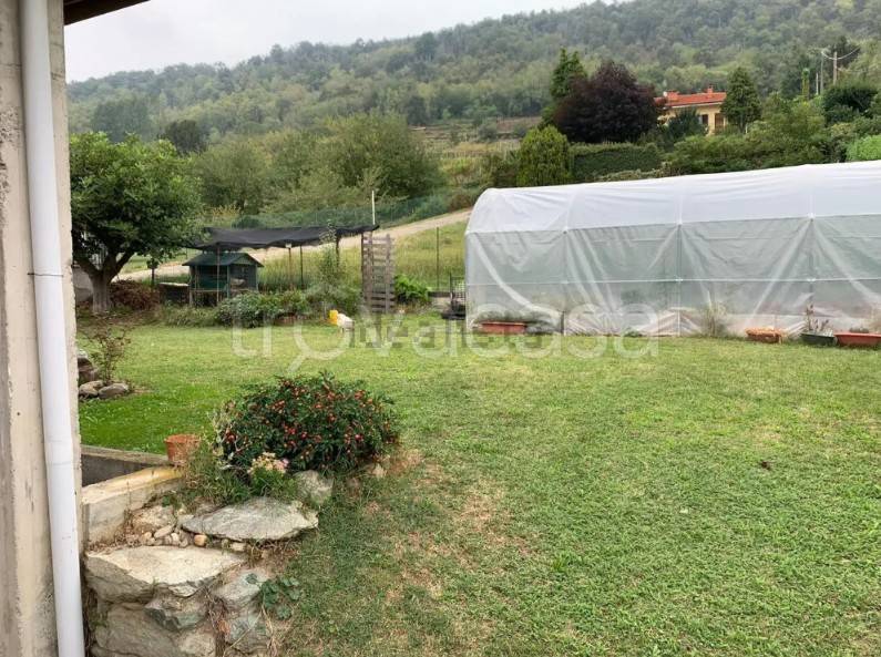 immagine annuncio 5 di 8