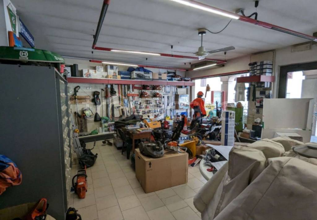 immagine annuncio 10 di 14