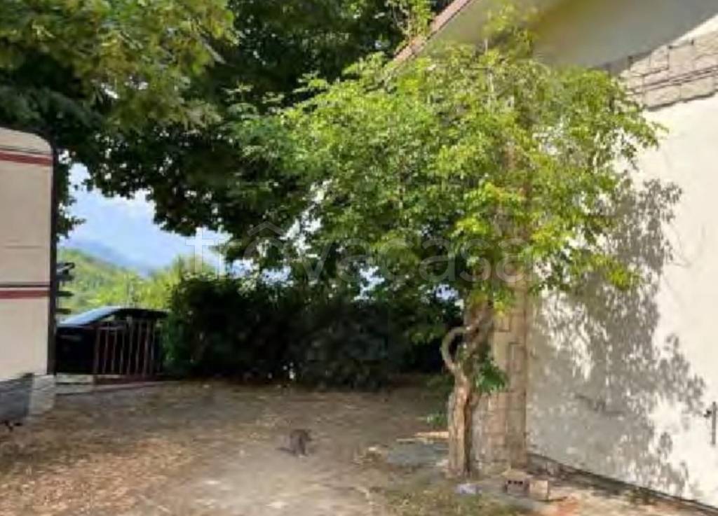immagine annuncio 2 di 6