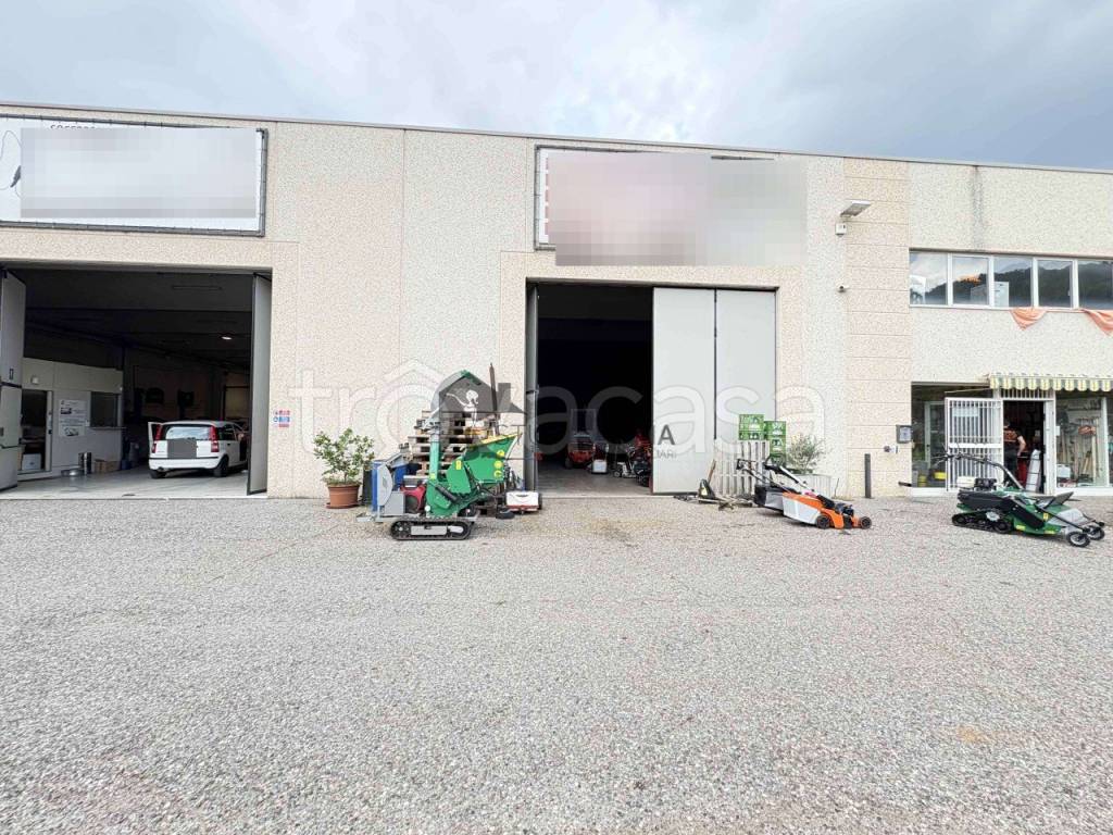 immagine annuncio 3 di 7