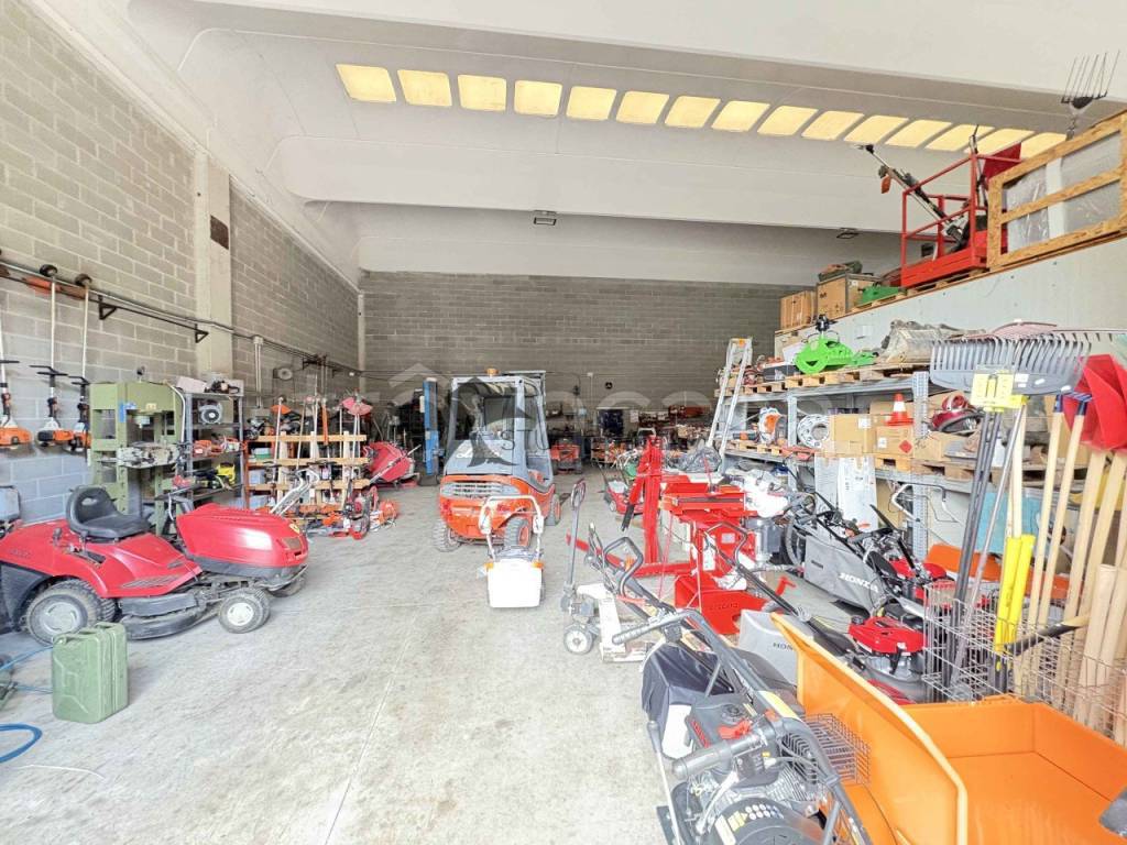 immagine annuncio 4 di 7