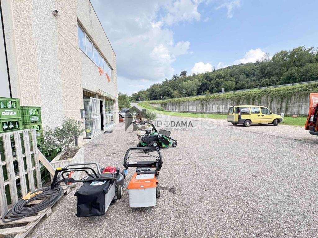 immagine annuncio 5 di 7