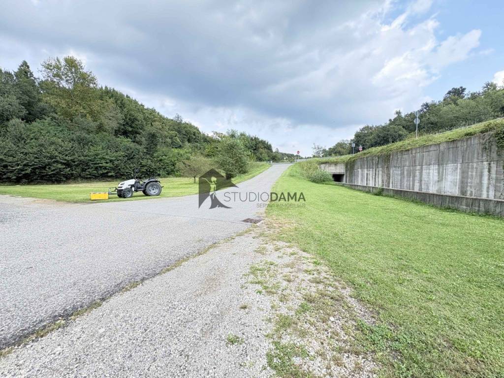 immagine annuncio 6 di 7