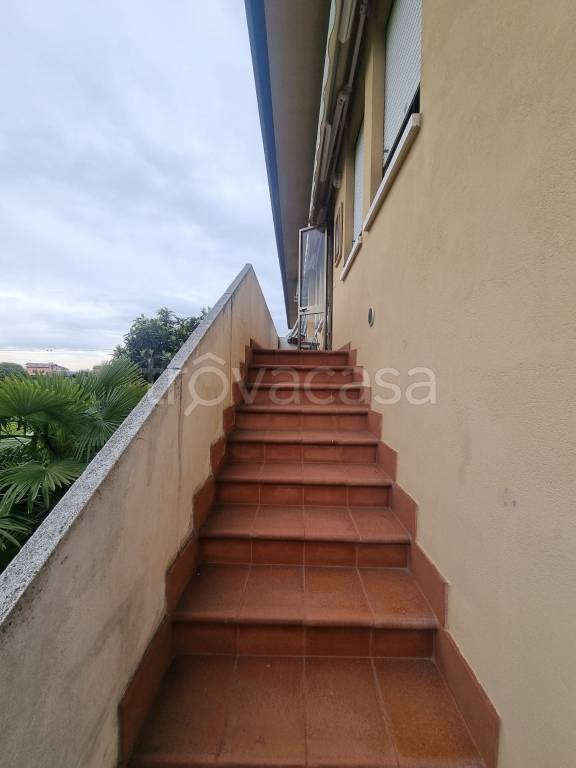 immagine annuncio 5 di 14