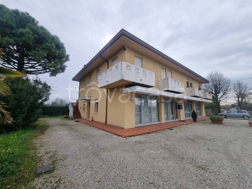 immagine annuncio 10 di 14