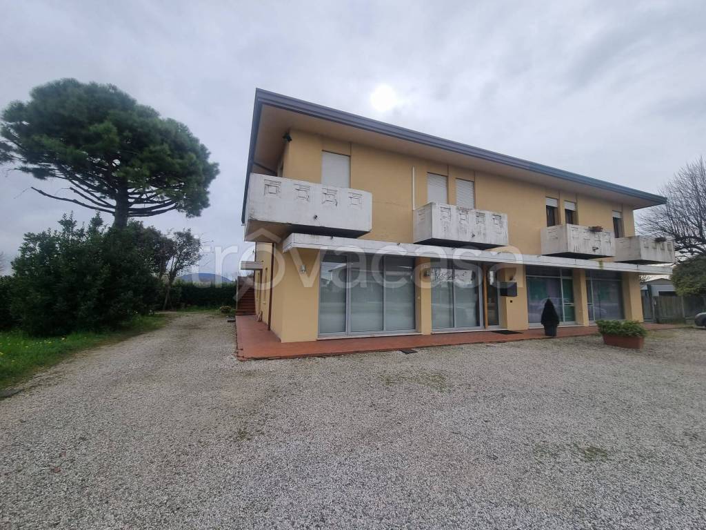 immagine annuncio 11 di 14