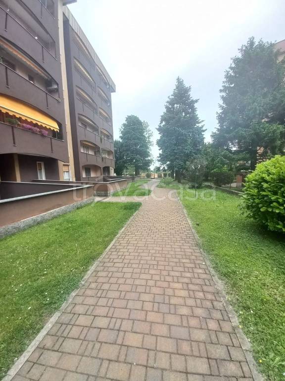 immagine annuncio 1 di 2