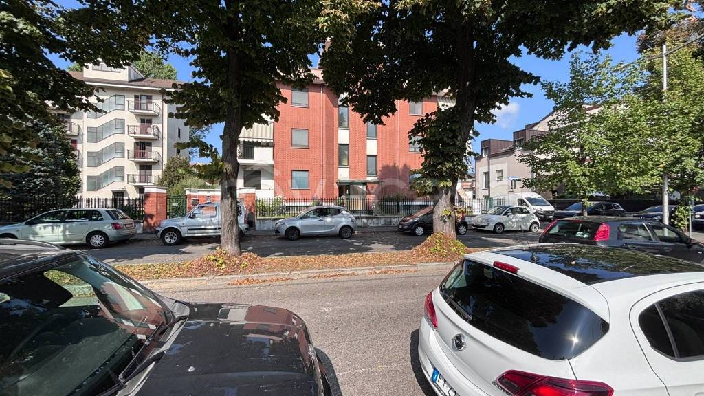 immagine annuncio 3 di 14