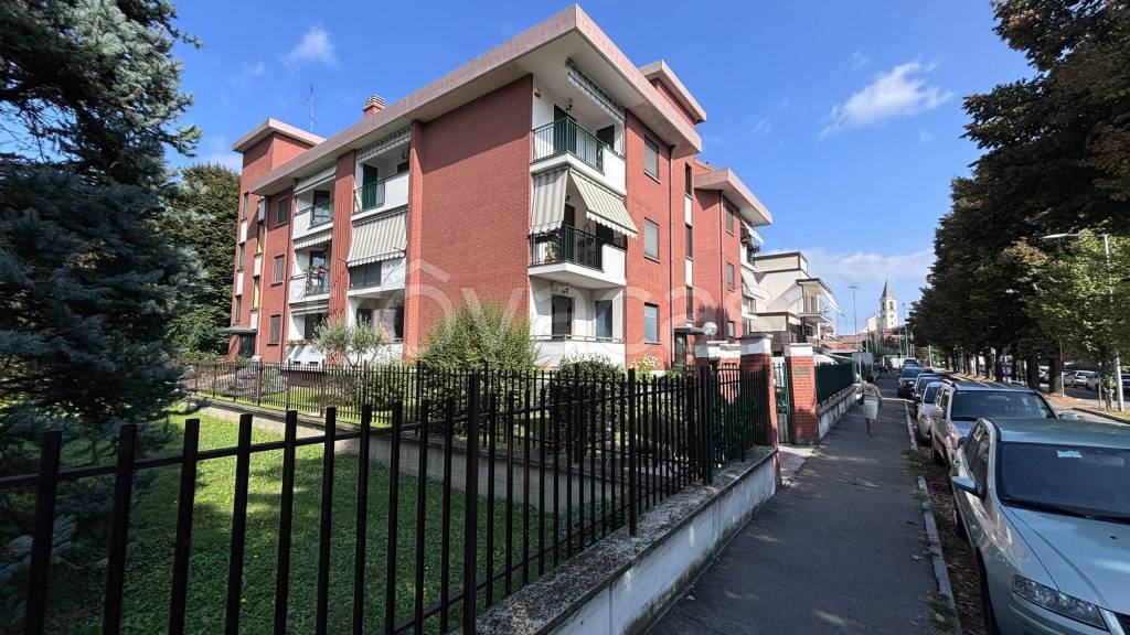 immagine annuncio 9 di 14