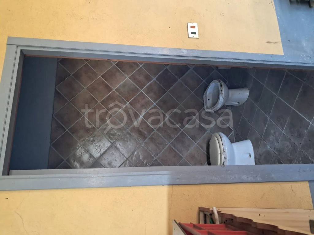 immagine annuncio 7 di 14