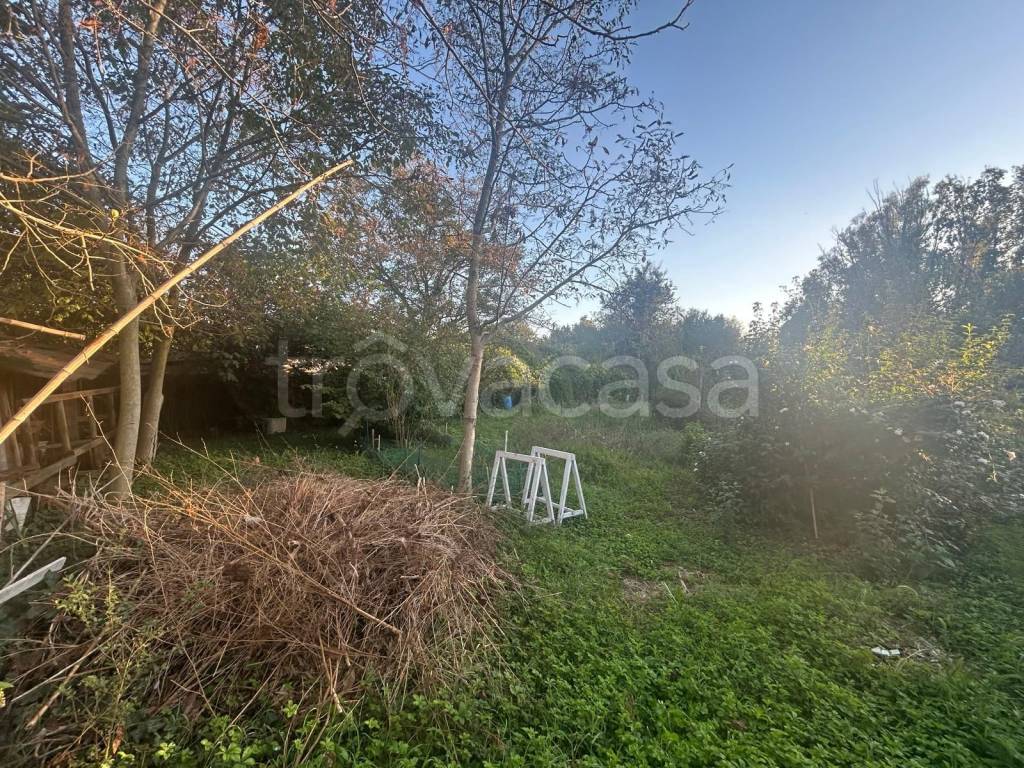 immagine annuncio 3 di 9