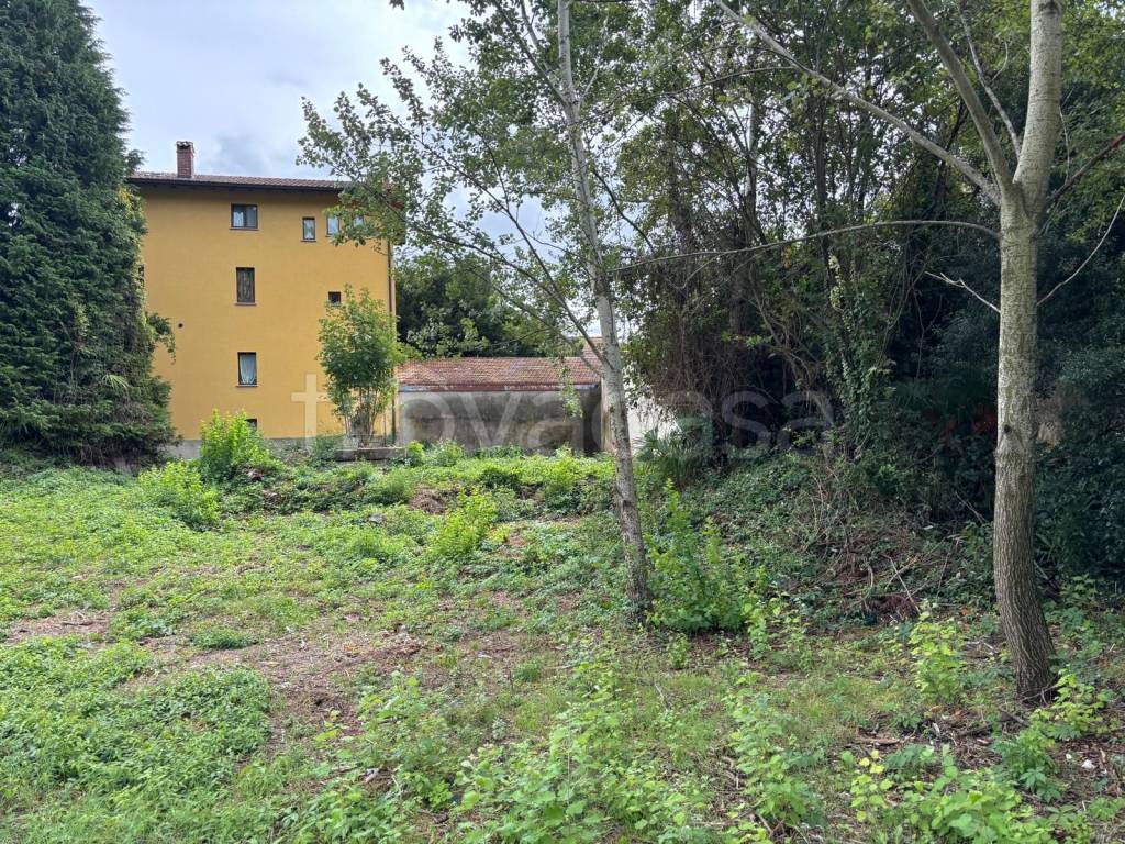 immagine annuncio 3 di 9