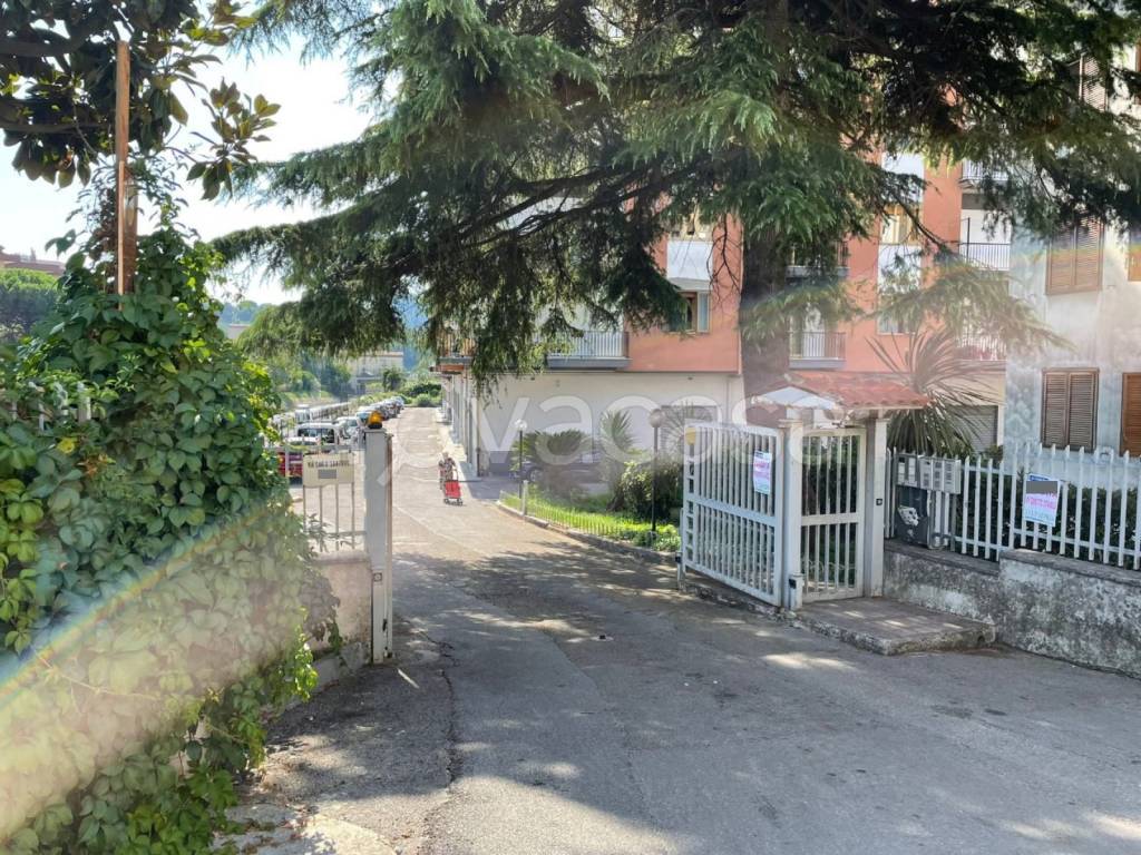immagine annuncio 11 di 14