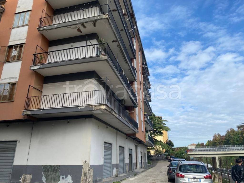 immagine annuncio 12 di 14
