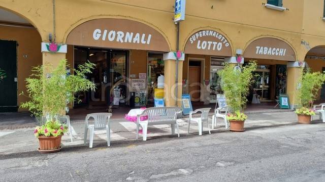 immagine annuncio 5 di 8