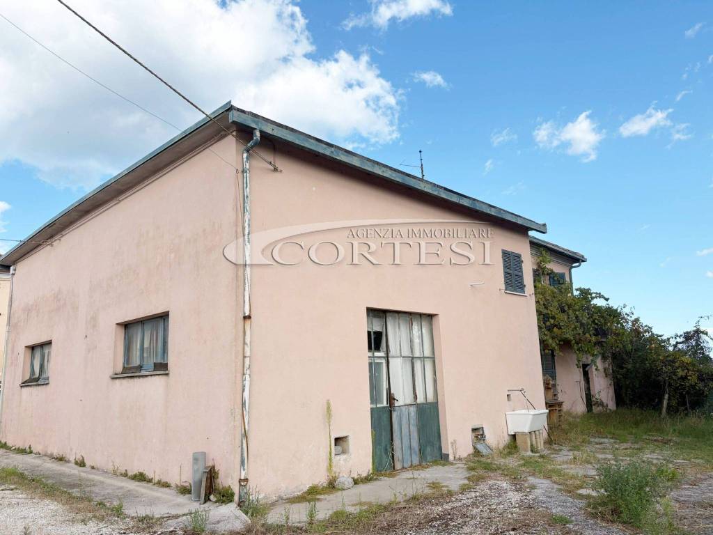 immagine annuncio 1 di 6