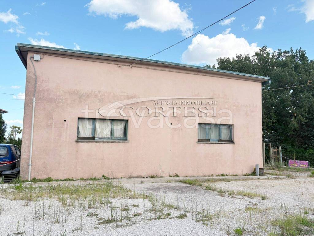 immagine annuncio 2 di 6