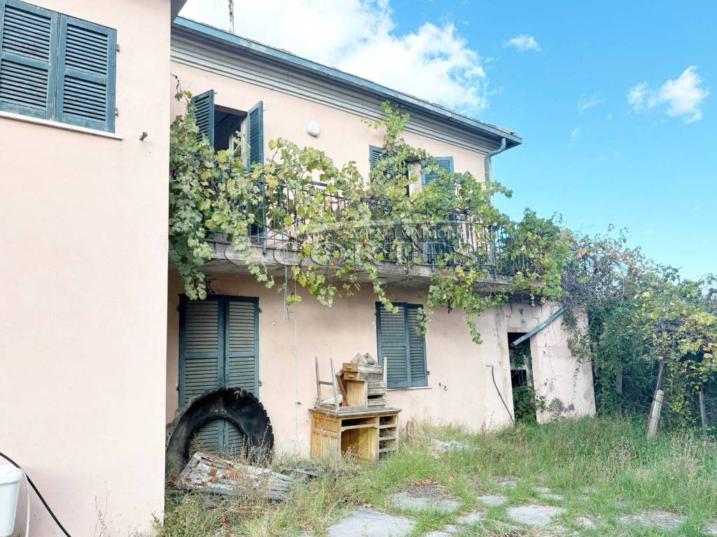 immagine annuncio 3 di 6