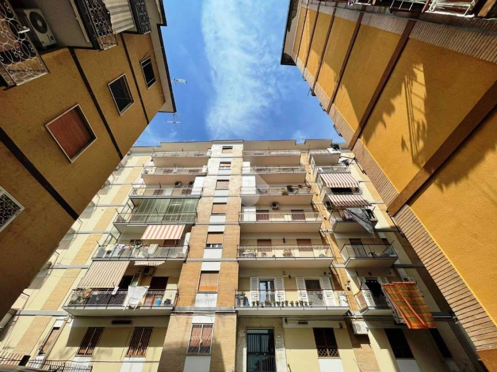 immagine annuncio 2 di 3