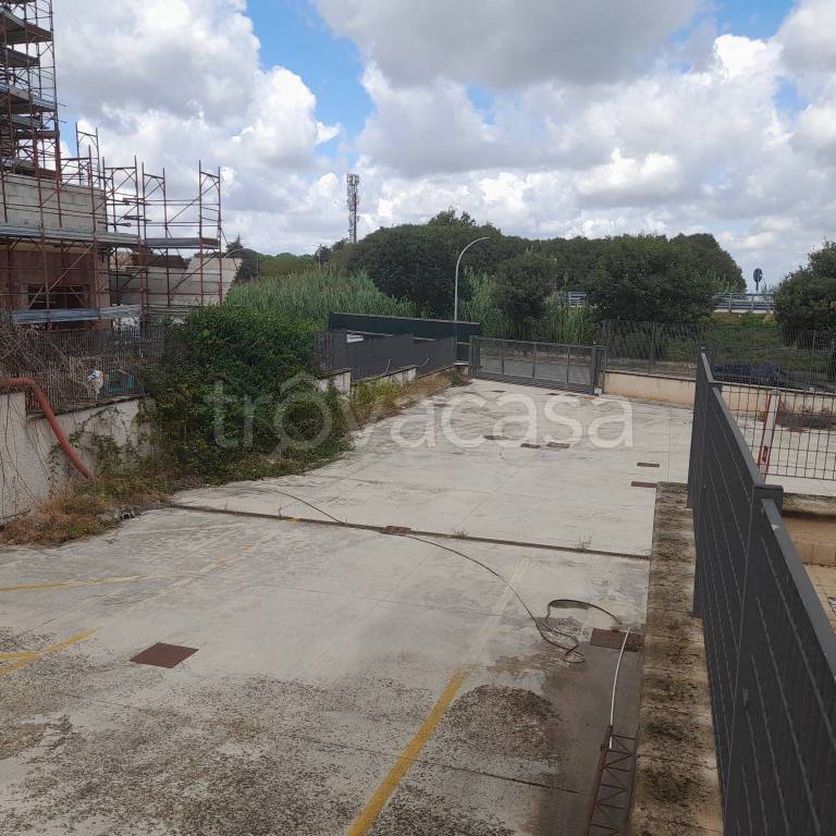 immagine annuncio 10 di 12