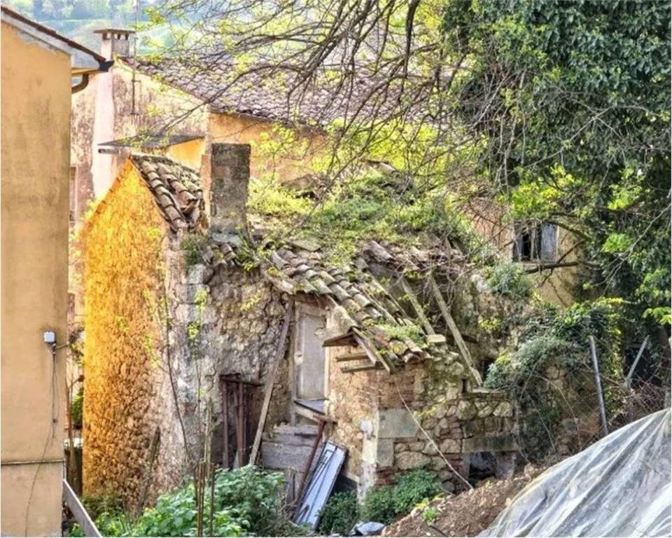 immagine annuncio 9 di 13
