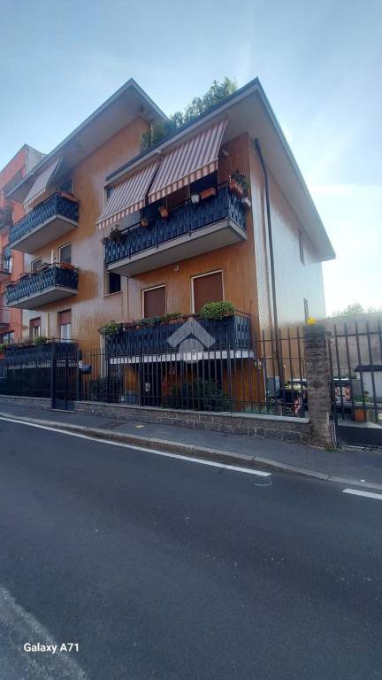 immagine annuncio 2 di 15