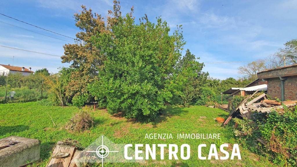 immagine annuncio 7 di 8