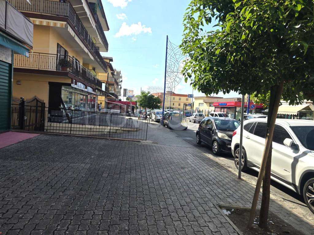 immagine annuncio 2 di 8