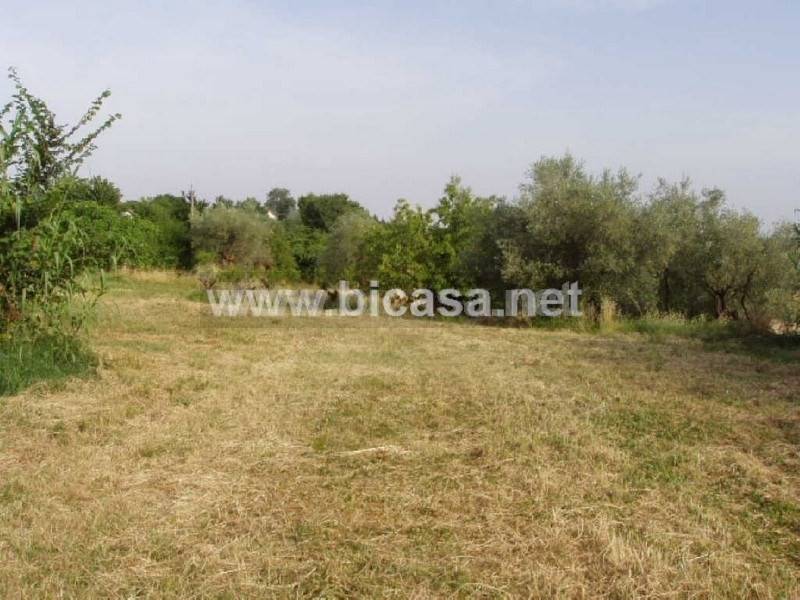 immagine annuncio 6 di 9