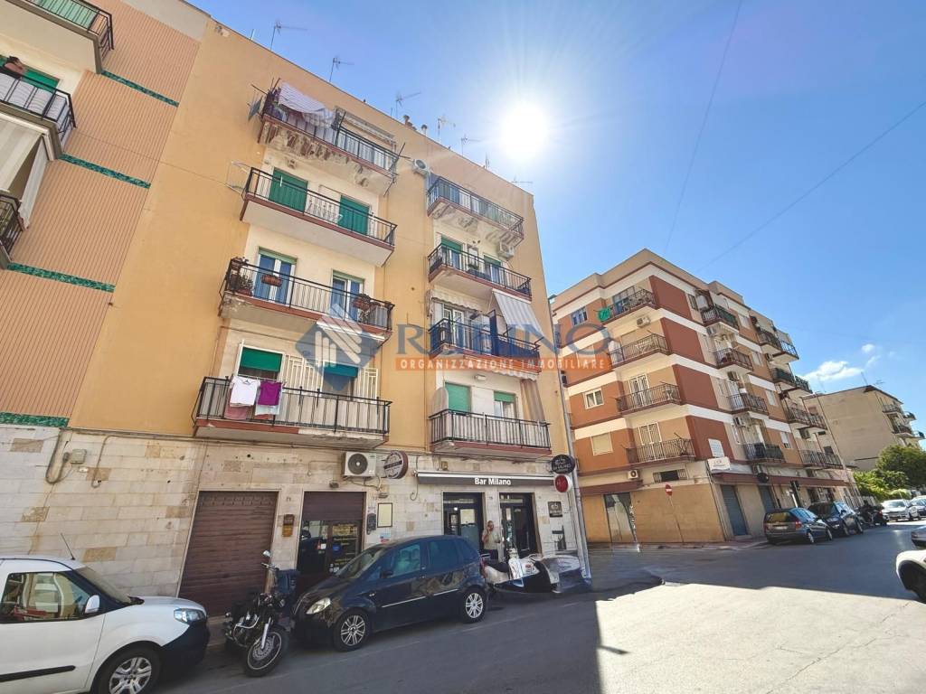 immagine annuncio 12 di 14