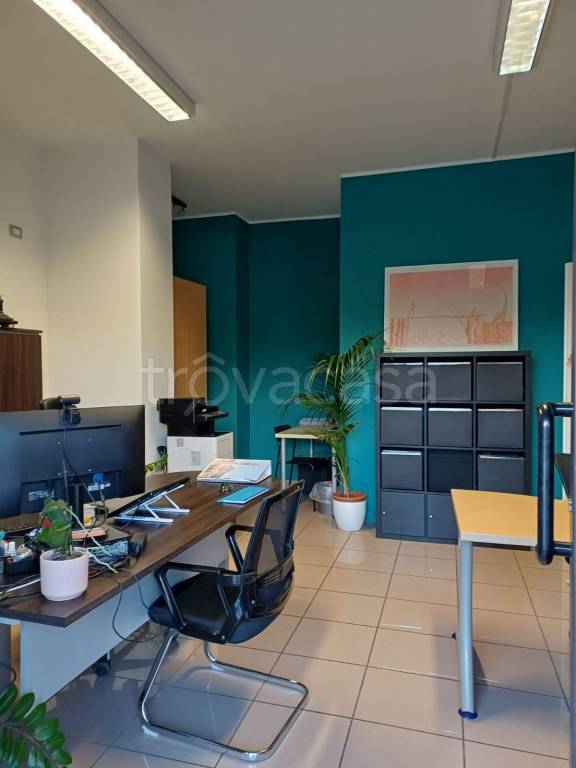 immagine annuncio 6 di 14