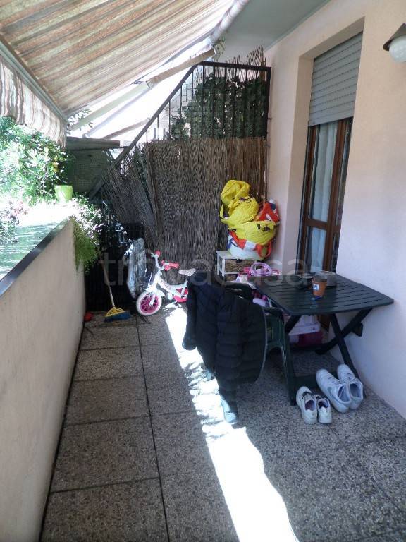 immagine annuncio 11 di 14