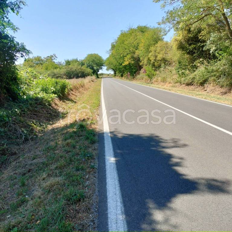 immagine annuncio 3 di 8