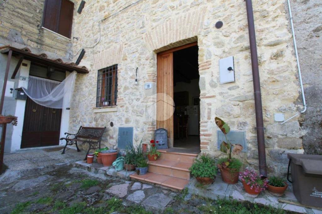 immagine annuncio 3 di 11